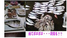 昨日の釣果・・・・