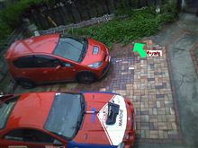 今日も雨です。