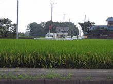 実るほど頭を垂れる稲穂かな