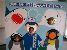 今年は涼しく水族館