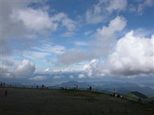 牛がたくさんいます～