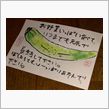 えてがみ