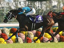ブラックエンブレム引退