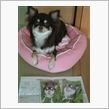 おかえり～v(^o^)