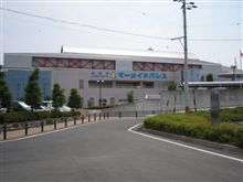 初泳ぎ