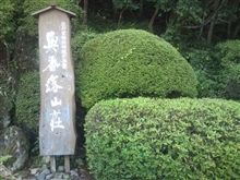 正解は。