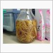 高麗人参