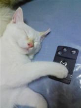 うっかり・・・