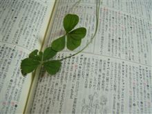 晴れのち曇り（＾＾