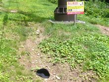やらせですかw やらせですかw