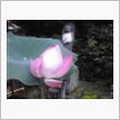 蓮花