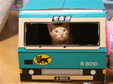 茶トラ～ヤマトの宅急便～♪