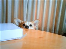 夏休み。