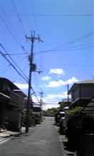 おはようございます♪