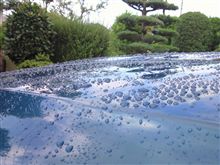 涼しい午前中に・・・