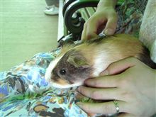動物園♪