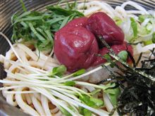 今日のブレックファーストは、「談合阪SA」梅おろしうどん