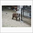 家のセコム。
