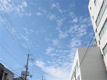 暑い中にも秋が忍び寄ってきてる