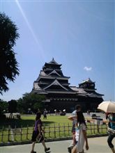 週報