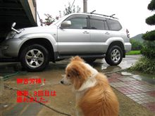洗車三台と温泉＆お昼寝