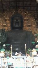 大仏キタァ～