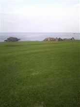 海