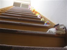 １７時間半帰ってきました＆弄り