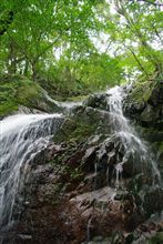 お墓参り（その２）