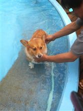 河口湖　モンターニャへ。