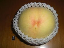 卑猥な写真じゃないですよ？
