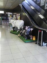 到着。