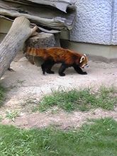動物園