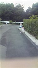 散歩中です