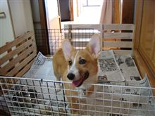 夏休み