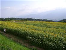 本日をもって、終了します。
