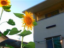 2009・夏の思い出