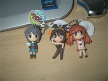 はじまりましたよ～～～～。