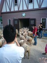 盆休み４日目
