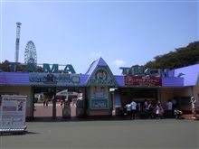 今日は…