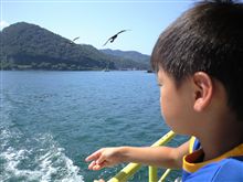 伊根湾めぐり