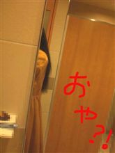 まさに「盆と正月」 (爆