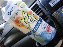 今日の１本