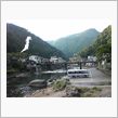 山奥だ～