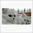 今日から、いつも通り～