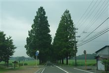 成果