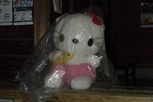 寂しそうなキティ