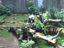 Ocean Park