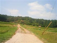 寄り道