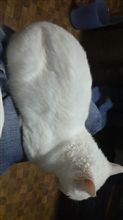 気持ちは嬉しいんだけど